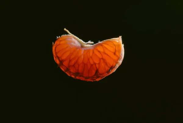 One slice of tangerines in the counter lighting. — Stock Photo, Image