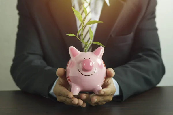 Empresario que sostiene alcancía en el escritorio y el pequeño árbol verde crecen, concepto de ahorro y la inversión en los negocios —  Fotos de Stock