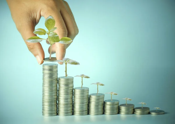 저장 머니 트리 동전, 대출, 개념의 더미에 두 손, 금융 및 자본 사업에 대 한 계정 — 스톡 사진