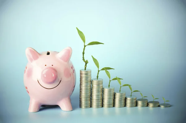 Coin and pink bank with green small tree, concept in save money — Stock Photo, Image