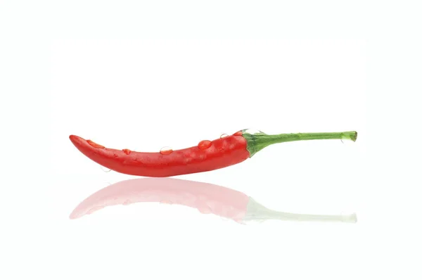 Fresh chili with drop water isolated on white background — Stock Photo, Image