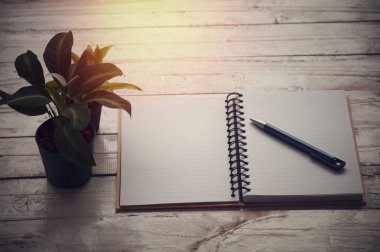 kitap ve bitki ile tabloda kalem