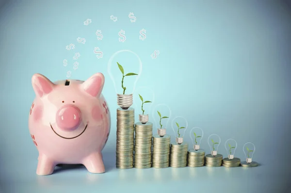 pile of money coins with small tree grow up with pink and piggy bank on blue sky