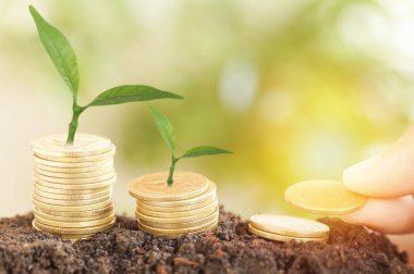 ağaç büyüme ve toprak ile üzerinde yığılmış paralar, kavram olarak iş, finans, Ekonomi ve hesap banka para tasarrufu