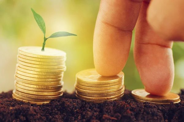 sikke, büyüme, finans, hesap ve iş dünyasında başarı kavramı yığını üzerinde adım adım yürüyen parmak, küçük ağaç veya bitki büyümesi ve para yığını