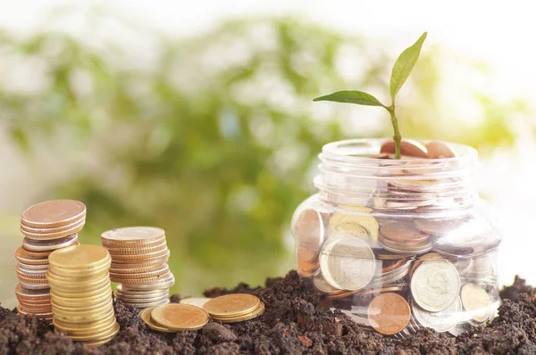 small green tree growth up on plastic jars and staced money on soil, concept in save and step by step of business, finance, economy and account bank