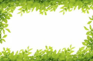 Yeşil yapraklar çerçeve beyaz arkaplanda izole
