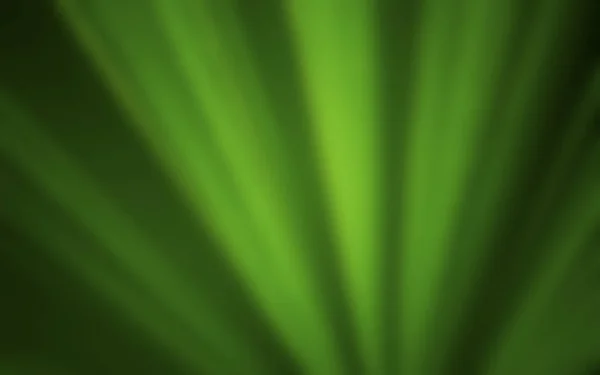 Размытие темно-зеленые листья фона и обои — стоковое фото