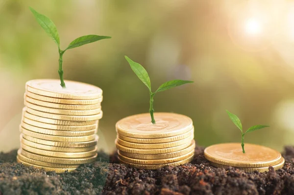 ağaç büyüme ve toprak ile üzerinde yığılmış paralar, kavram olarak iş, finans, Ekonomi ve hesap banka para tasarrufu