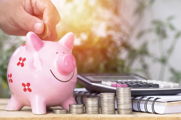 Hand Put Money Pink Piggy Bank Pile Coins Concept Growth — Stock Photo, Image