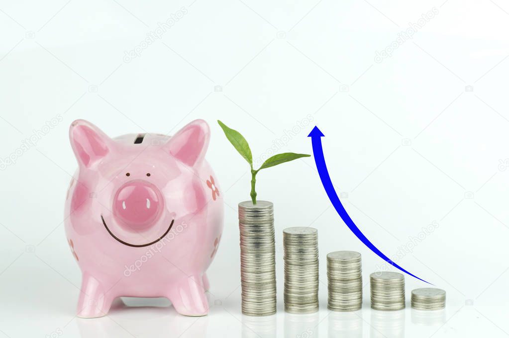 piggy bank and small tree growth on stacked of coins with arrow up on white  background, concept in growth, save and investment in business