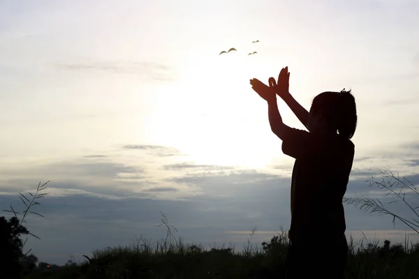 Silueta Las Mujeres Posando Mostrando Mano Forma Pájaro Cielo Crepúsculo — Foto de Stock