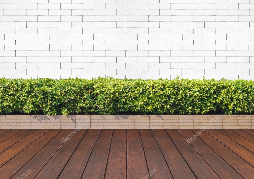 wood floor with plant and white brick wall 