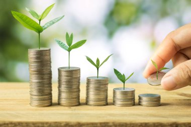 Para sikke yeşil b yığılmış üzerinde büyüyen fidan el koymak