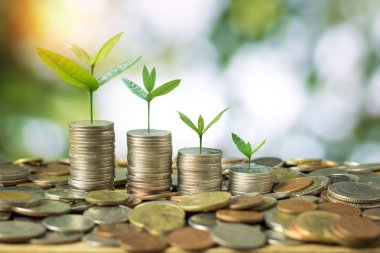 Para sikke yeşil bokeh üzerinde yığılmış üzerinde büyüyen fidan geri