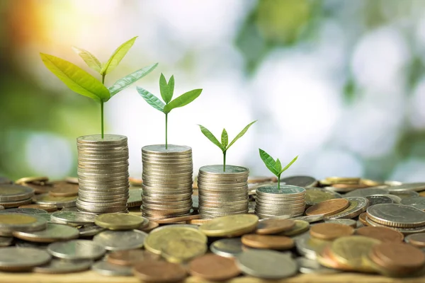 Para sikke yeşil bokeh üzerinde yığılmış üzerinde büyüyen fidan geri