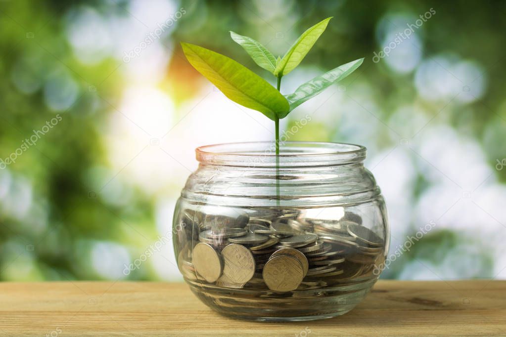 Sapling growing up on stacked of money coins  in glass of jar on green bokeh background