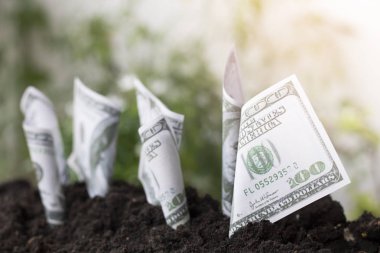 Dolar bill büyüme kadar para, dikim toprak ile tasarruf ve yatırım, işletme ve finans, sermaye bankacılık ve ekonomi başarı hakkında yatırım gibi kavramı