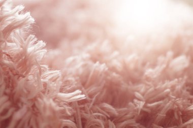 yumuşak pembe pamuk halı ve soyut arka kapatmak