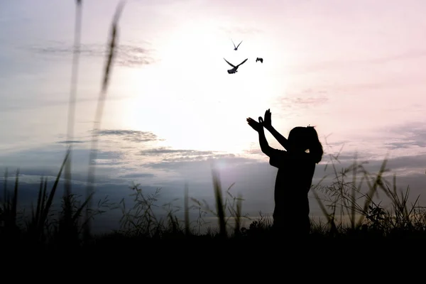 Silhouette Menschen Machen Hand Als Vogel Und Lassen Vögel Freiheit — Stockfoto