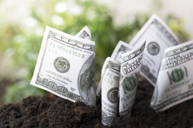 Para soi, kavram olarak kaydet, finans ve sermaye büyüyen bankacılık Doları dikim