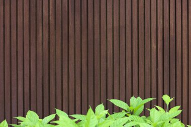 ahşap doku duvar arka plan