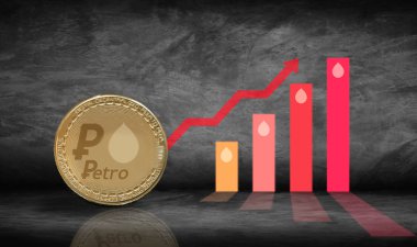 Petro coin on wall with finance growth graph, banking, capital a clipart