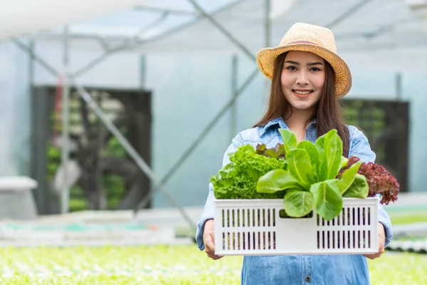 Alimentos Saudáveis Fazenda Vegetal Orgânico Felizmente Atraente Mulher Proprietário Caixa — Fotografia de Stock