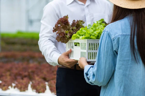 Alimentação Saudável Fazenda Vegetal Orgânica Alegremente Atraente Caixote Proprietário Mulher — Fotografia de Stock