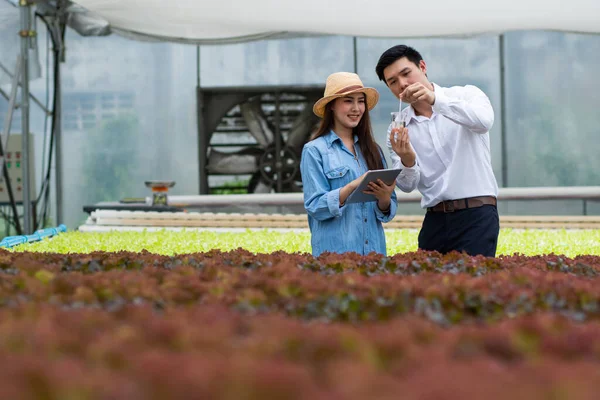 agricultural expert  introduce woman hydroponic vegetable owner farmer checking a good balance of water and oxygen as temperature, nutrients, lights, pH level, and humidity, system of growing plants.