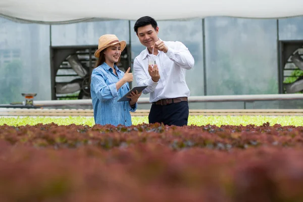 agricultural expert  introduce woman hydroponic vegetable owner farmer checking a good balance of water and oxygen as temperature, nutrients, lights, pH level, and humidity, system of growing plants.