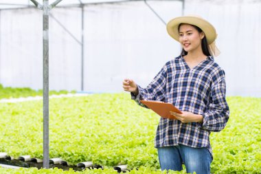 Asya ve Taylandlı kadın çiftçiler, organik çiftlikte hidrofonik sebzelerin kalitesini kontrol ediyorlar.
