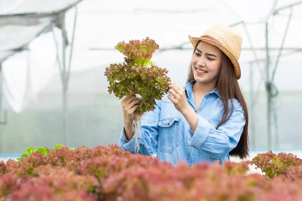 Beleza Mulher Asiática Agricultor Proprietário Com Sorriso Segurando Vegetais Hidropônicos — Fotografia de Stock