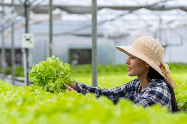 Alimentação Saudável Fazenda Vegetal Orgânica Felizmente Atraente Mulher Proprietário Engradado — Fotografia de Stock