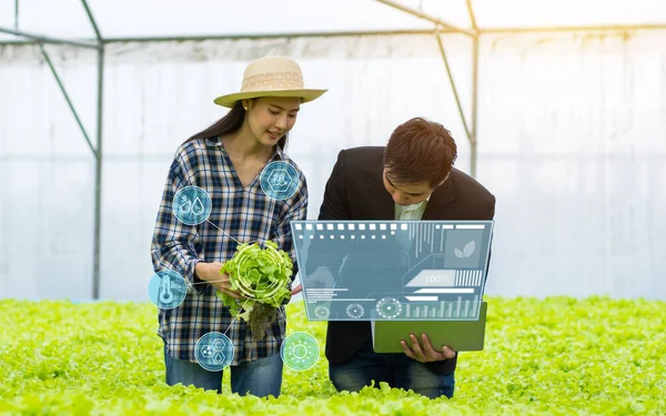 Hydroponic farm with technology, researcher, agricultural expert introduce owner farmer checking good balance of water and oxygen as temperature, lights, pH level, humidity, system of growing plant