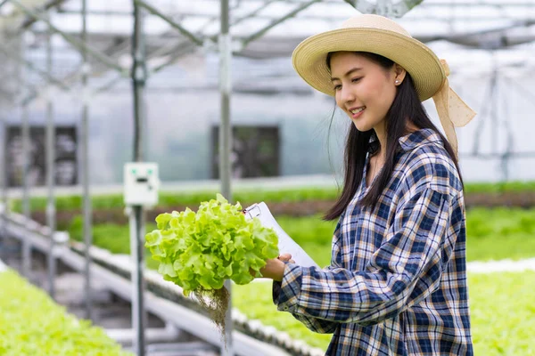 Mulher Agricultora Que Detém Hidropônico Fazenda — Fotografia de Stock