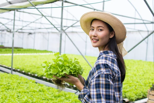 Beauty Asian Woman Farmer Owner Smile Holding Hydroponic Vegetables Checking — Stock Photo, Image