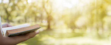 Okuma ve bilgi kavramı, yumuşak yeşil park afişi üzerine el ele tutuşmalar 