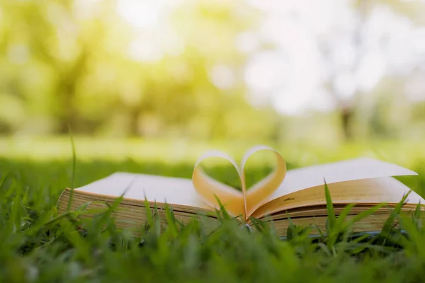 Love reading for wisdom and knowledge concept, Opening book with heart shape on green grass in park
