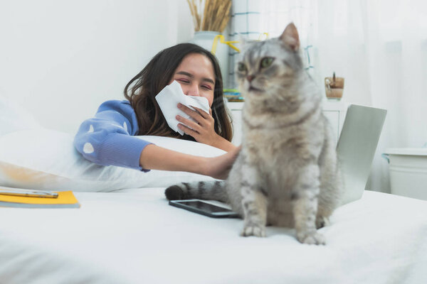 Cat's allergy, woman illness use tissue to close nose to protect spot as working on laptop in bedroom