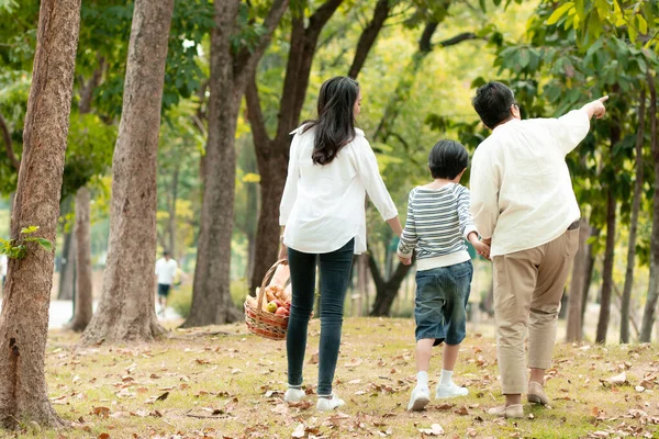 Família Feliz Avó Mãe Com Sol Indo Para Piquenique Parque — Fotografia de Stock