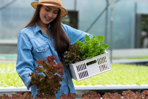 Alimentos Saudáveis Fazenda Vegetal Orgânico Felizmente Atraente Mulher Proprietário Caixa — Fotografia de Stock