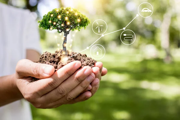 Salvar Mundo Concepto Innovación Niña Sosteniendo Plantas Pequeñas Árboles Están — Foto de Stock