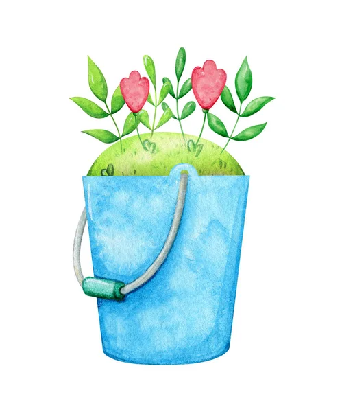 Kis Kert Fűvel Virággal Levelekkel Kék Vödörben Kertészeti Évszak Illusztrációja — Stock Fotó