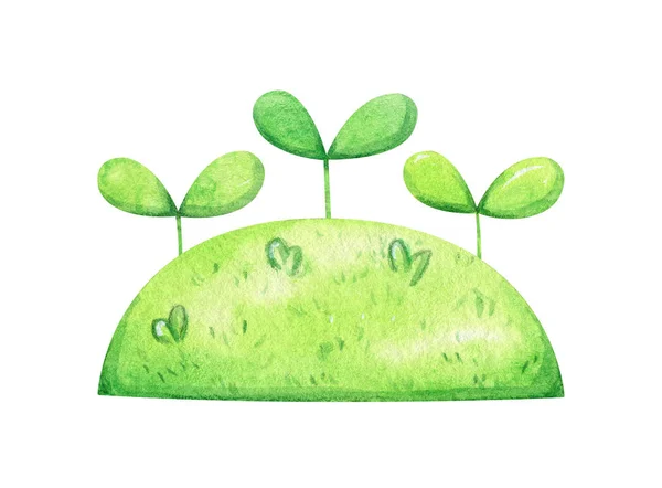 Зелені Паростки Ростуть Свіжому Газоні Навесні Видова Акварельна Ілюстрація Садівничого — стокове фото