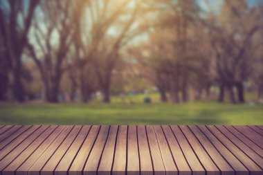 Yeşil orman ve sunset.can boş alan görüntü o için kullanılan