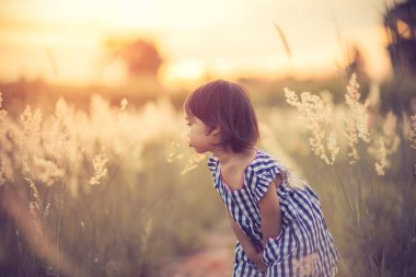 Bir alandaki doğal çiviler ile yaz oynarken mutlu sevimli çocuk 