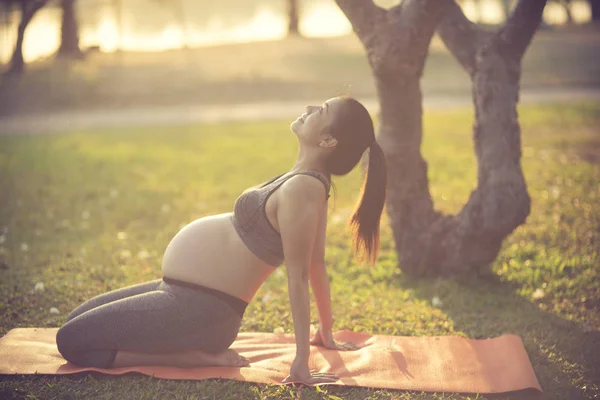 Gesunde schwangere Frau beim Yoga in der Natur. — Stockfoto