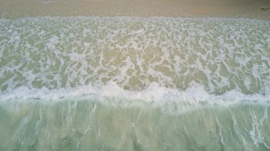 Üstten Görünüm deniz kum plaj arka plan kavramı kuş gözü. Yumuşak focu