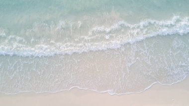 Üstten Görünüm deniz kum plaj arka plan kavramı kuş gözü. Yumuşak focu